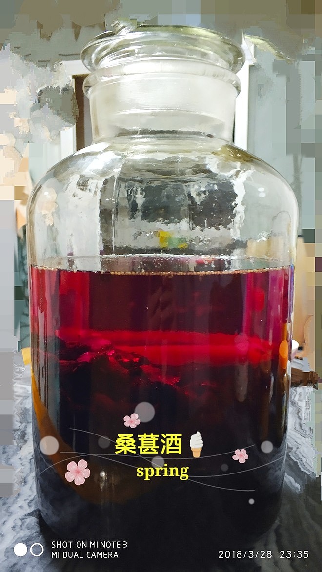 泡桑葚酒（熬酱法）