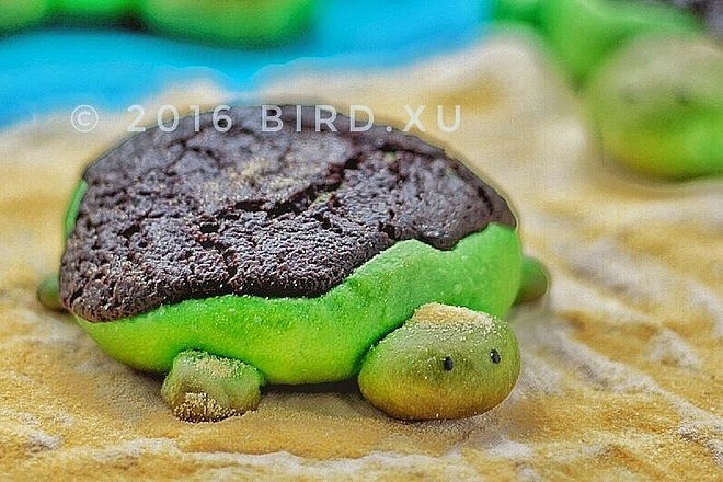 来自东南亚的小海龟🐢（小乌龟）【班兰椰香奶酪可可酥皮面包/抹茶红豆奶酪可可酥皮面包】